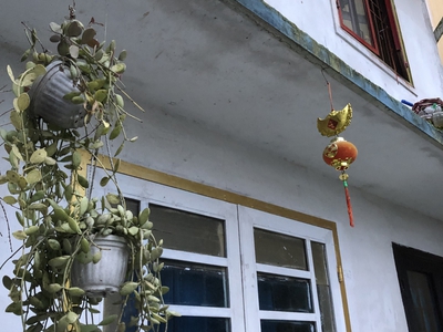 Cho thuê phòng trọ Nam giá rẻ tại Tp  Đà Lạt 1