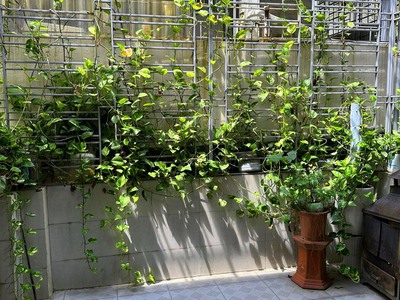 Bán nhà Ngọc Thuỵ, ngõ ba gác tránh xe máy, vài bước chân ra đường ô tô, 38m, hơn 4 tỷ 6