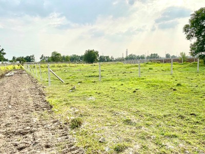 Chính Chủ Bán Lỗ 1500m2 Đường Nguyễn Thị Rành, Xã Nhuận Đức, Củ Chi 3