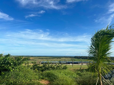 Vợ chồng li dị bán lỗ đất chia tài sản 2