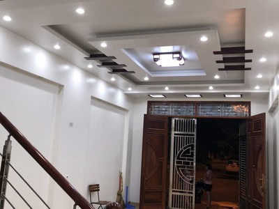 Nhà 3,5 tầng Lê Đình Vũ - Đông Nam Cường - TPHD 0