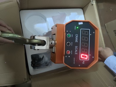 Cân treo điện tử OCS-XZ - SIFANG 5 Tấn 0