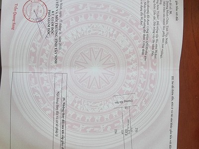 Nhà đẹp giá mềm - cơ hội đầu tư hấp dẫn tại tây ninh 3