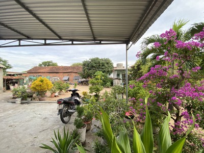 Nhà vườn 16x22 352m2, cách biển 1,5km, sân bay tuy hòa 3km 1