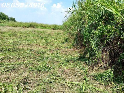 Chính chủ bán đất trồng cây lâu năm ở hóc môn - giáp quận 12 - tp hồ chí minh 1