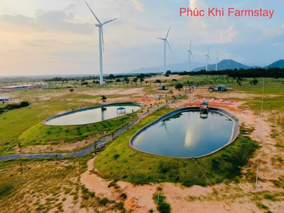 Bán nhanh 5100m2 đất Farm Tuy Phong sổ hồng riêng view biển Bình Thuận chỉ 390k/m2 3