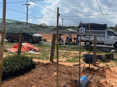 Bán nhanh 5100m2 đất Farm Tuy Phong sổ hồng riêng view biển Bình Thuận chỉ 390k/m2 0