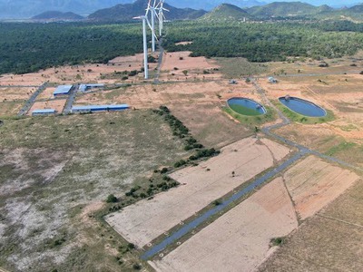 Bán nhanh 5100m2 đất Farm Tuy Phong sổ hồng riêng view biển Bình Thuận chỉ 390k/m2 4