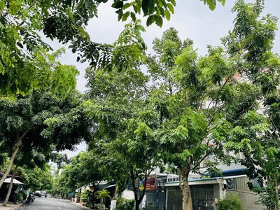 Giảm 300 triệu bán gấp đất mặt tiền khu dân cư nam thiên lộc - tp hồ chí minh 2