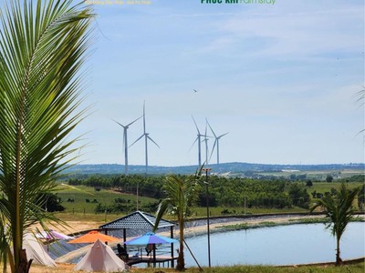 Cần bán đất Tuy Phong Bình Thuận 8700m2 ngay QL1A view biển giá chỉ 390k/m2 2