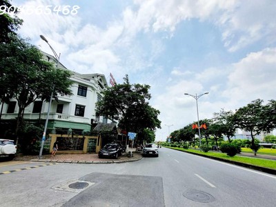 Bán căn biệt thự mặt phố lưu khánh đàm, phường việt hưng, lô góc siêu vip. 0