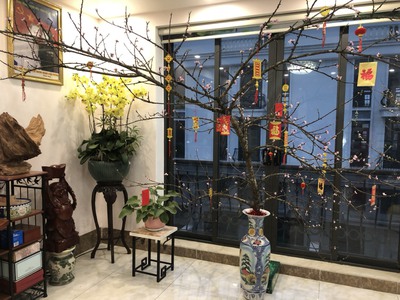 Thanh lý nhà vườn dự án thạch bàn gardencity  phân khu eastern park , 160m2, 3.5 tầng, miễn tg 2