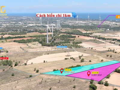 4900m2 Phúc Khí Farmstay mặt tiền QL1A view biển Tuy Phong, Bình Thuận chỉ 390k/m2 4