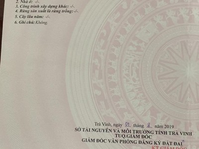 Chính chủ cần bán nhanh đất mặt tiền đường nhựa tại trà cú - trà vinh 0