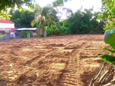 Chính chủ cần bán nhanh đất mặt tiền đường nhựa tại trà cú - trà vinh 3
