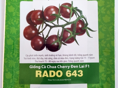 Hạt giống Cà chua Cherry đen lai F1 Rạng Đông Rado 643 0