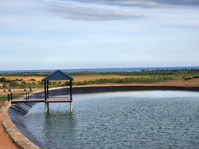 Siêu Rẻ - Đất trang trại view biển Tuy Phong 350k/m2 1
