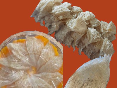 Sản phẩm thiên nhiên từ tổ yến nguyên chất 6