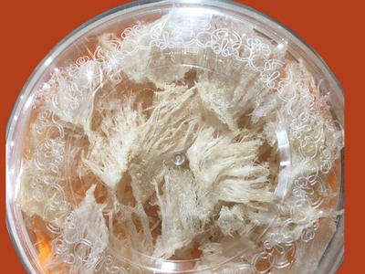 Sản phẩm thiên nhiên từ tổ yến nguyên chất 15