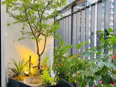 Chậu Hàng Rào Composite Trồng Cây, Hoa 1