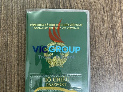 Thiết kế, in, gia công ví đựng hộ chiếu passport, visa 3