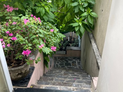 Cần bán căn nhà vườn cực rộng kèm vườn rau hữu cơ chủ chăm chút tỉ mỉ - nhà thiết kế cực đẹp hoà 2