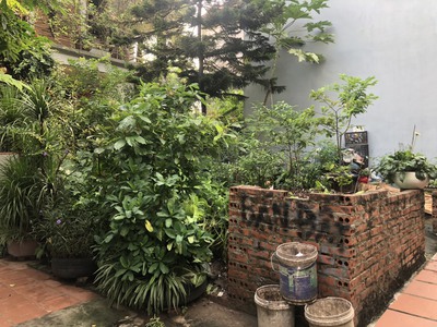 Bán đât phố tư đình, lô góc, ô tô, 35 m2, mt 5,4 m, chỉ 2,95 tỷ. 2