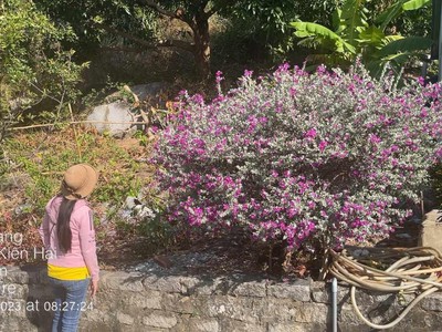 Chính chủ ngộp cần bán gấp lô đất đẹp vị trí tại kiên hải, kiên giang 4