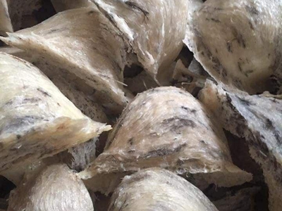 Sản phẩm thiên nhiên từ tổ yến nguyên chất 19