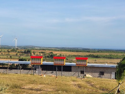 5000m2 Phúc Khí Farmstay mặt tiền QL1A view biển Tuy Phong, Bình Thuận chỉ 390k/m2 3