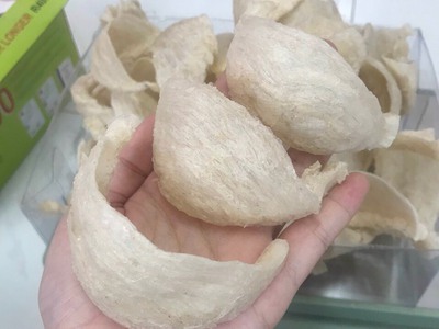 Thương hiệu yến sào nổi tiếng nhất Nha Trang 16
