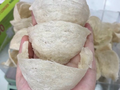 Thương hiệu yến sào nổi tiếng nhất Nha Trang 17