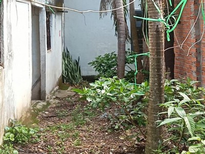 Bán đất trần hưng đạo phường dương đông tp.phú quốc, ngan lớn 23m, đ. 3m, giá chỉ 22 tỷ 2