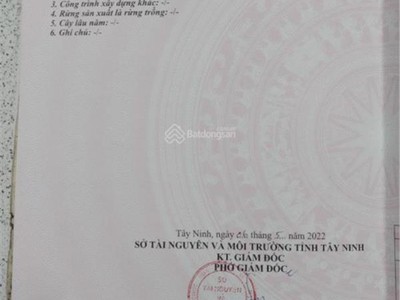 Cần bán đất tại đường pháo binh, xã thanh phước, gò dầu, tây ninh. 0
