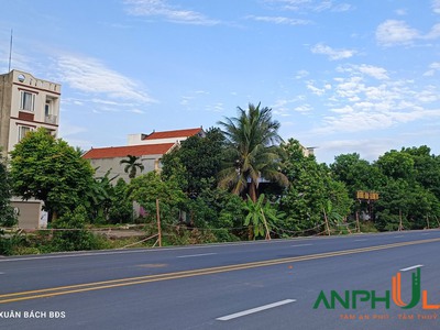 Cần bán đất đẹp TĐC Tam Hưng, Thuỷ Nguyên, Thuỷ Nguyên, Hải Phòng 2