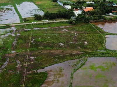 Bán đất dương công khi xã xuân thới sơn hóc môn, 7908m2, đường nhựa 8m, giá chỉ 47 tỷ 3