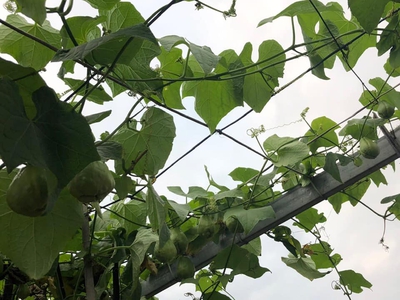 Chính chủ cần bán căn nhà 3 tầng lệch xây được 2 năm thuộc đường khánh yên - phố mới   lào cai. 0