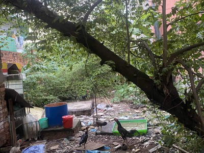 Bán lô đất trống full thổ cư - lê văn quới - thoại ngọc hầu, dt: 700m2 10x70 , giá 45.5 tỷ 1