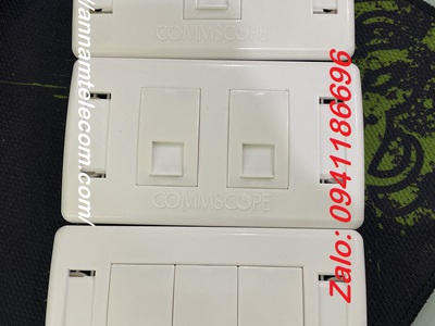 Dây cáp mạng Cat5e, Cat6, Cat7 UTP, FTP, SSTP, SFTP chính hãng giá rẻ mã 6-219590-2, 1427254-6,.. 11