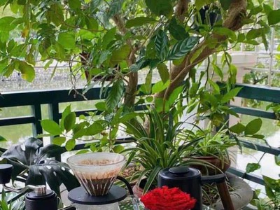  CC gửi bán căn nhà 2 mặt đường phố Chương Dương TPHD 1