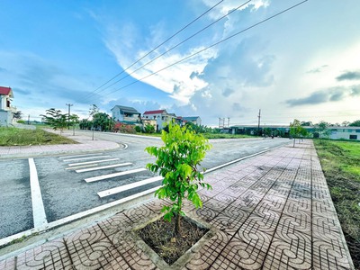 Chủ lỡ ôm chục lô tân phong giá 11tr nay cần tiền kinh doanh nên cắt lỗ còn từ 7tr/m 4