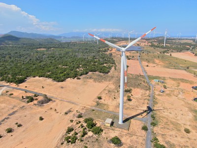 Bán nhanh 3400m2 đất Farm Tuy Phong sổ hồng riêng view biển Bình Thuận chỉ 390k/m2 0