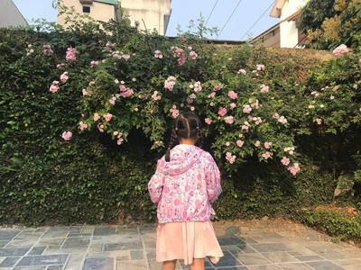 Chính chủ cho thuê nhà sóc sơn  kiểu villa  gần núi đôi tại đường núi đôi, xã tân minh, sóc sơn, hà 1