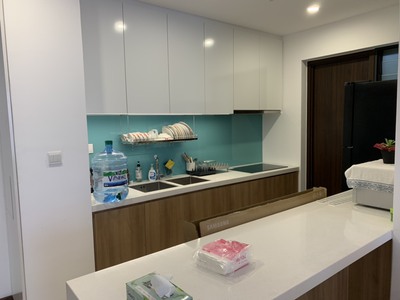 Cho thuê căn hộ One Verandah Đảo Kim Cương Q2 giá tốt 2
