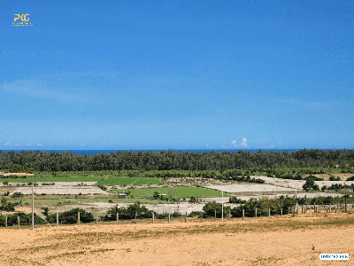Cần bán đất Tuy Phong Bình Thuận 4600m2 ngay QL1A view biển giá chỉ 390k/m2 2