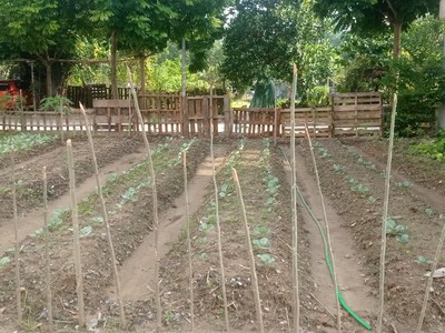 Bán đất tdc xuân phương 40m2 - 2 mặt đường lớn vỉa hè rộng trước sau, 2 xe tải tránh nhau 2