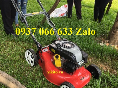 Máy cắt cỏ tự hành Yikito DCM1668 cho sân golf, công viên, biệt thự, có túi gom cỏ 1
