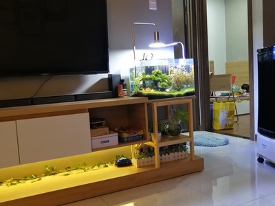 Chính Chủ Bán căn hộ Căn Hộ Full Nội Thất Him Lam Phú An  69m2, 2PN,2WC  Giá 2.65 Tỷ, Hướng Đông Nam 0
