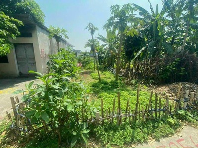 Bán đất tổ 7 thị trấn an dương 65m2 đường 5m 0