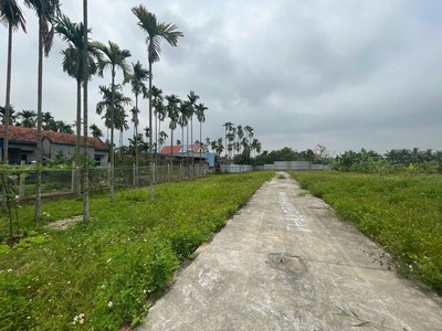 Bán Đất Hoa Động, Thuỷ Nguyên, 60m2, Ngõ oto, Giá 790tr 1